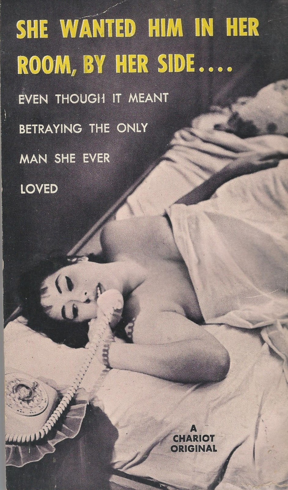 Chariot Book CB161 WILD MODEL by Donald Wright Vintage Sleaze Paperback GGA PBO