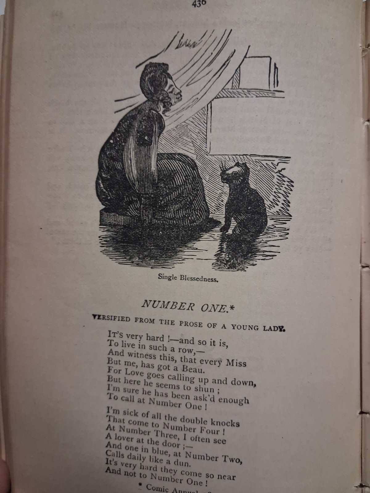 1880 COMIC THE CHOICE WORKS OF THOMAS HOOD 200 Illustrations ORNATE BINDING