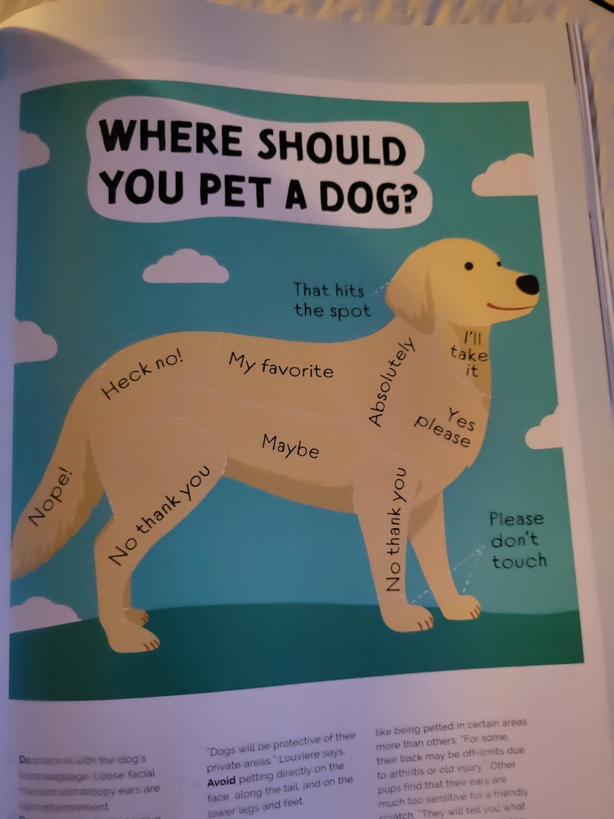 WHY WE LOVE DOGS – Paw Print Special Edition – Help Us Heal – Pet Like a Pro