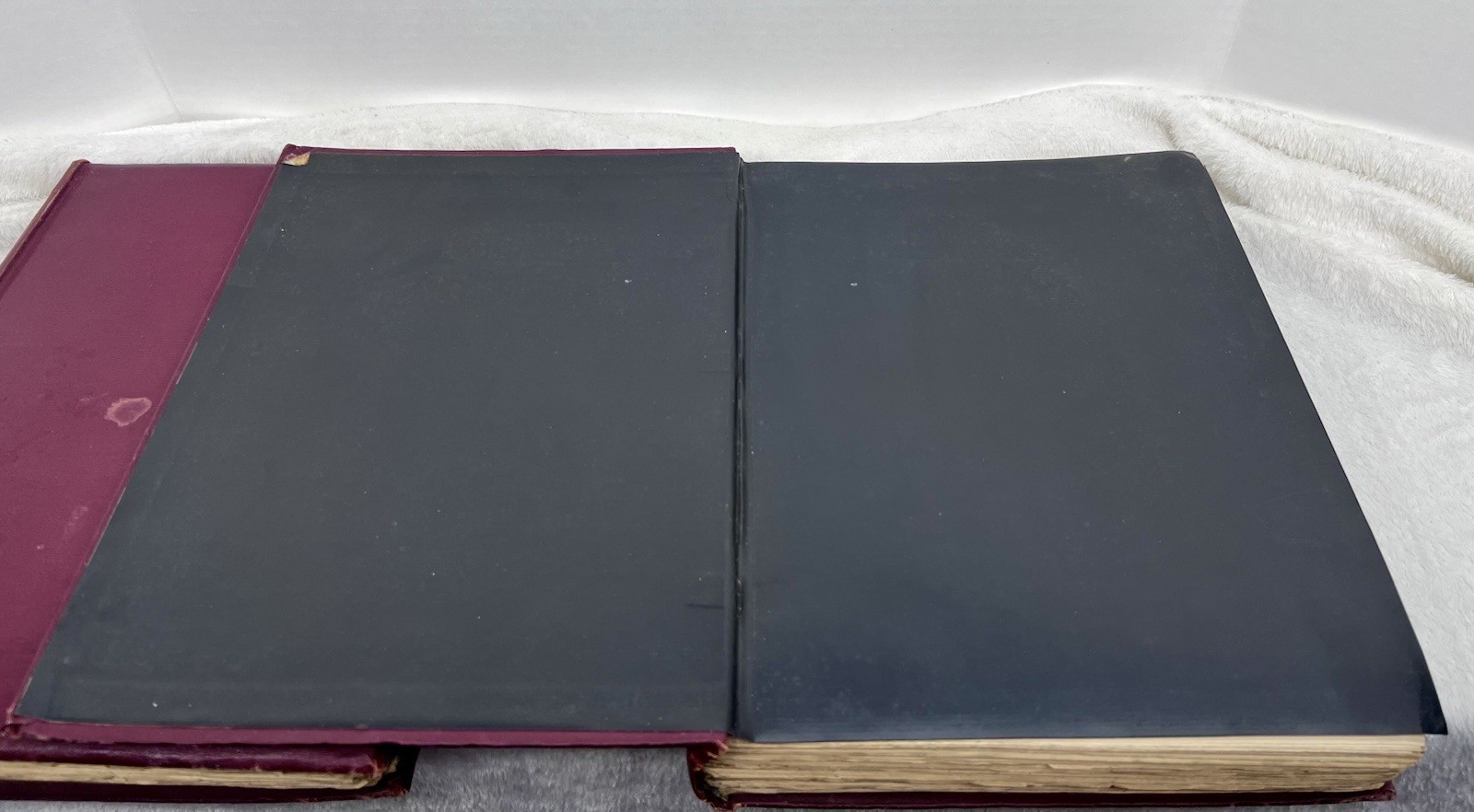 The Hermetic & Alchemical Writings of Paracelsus – First Edition – 1894 – 2 VOL.