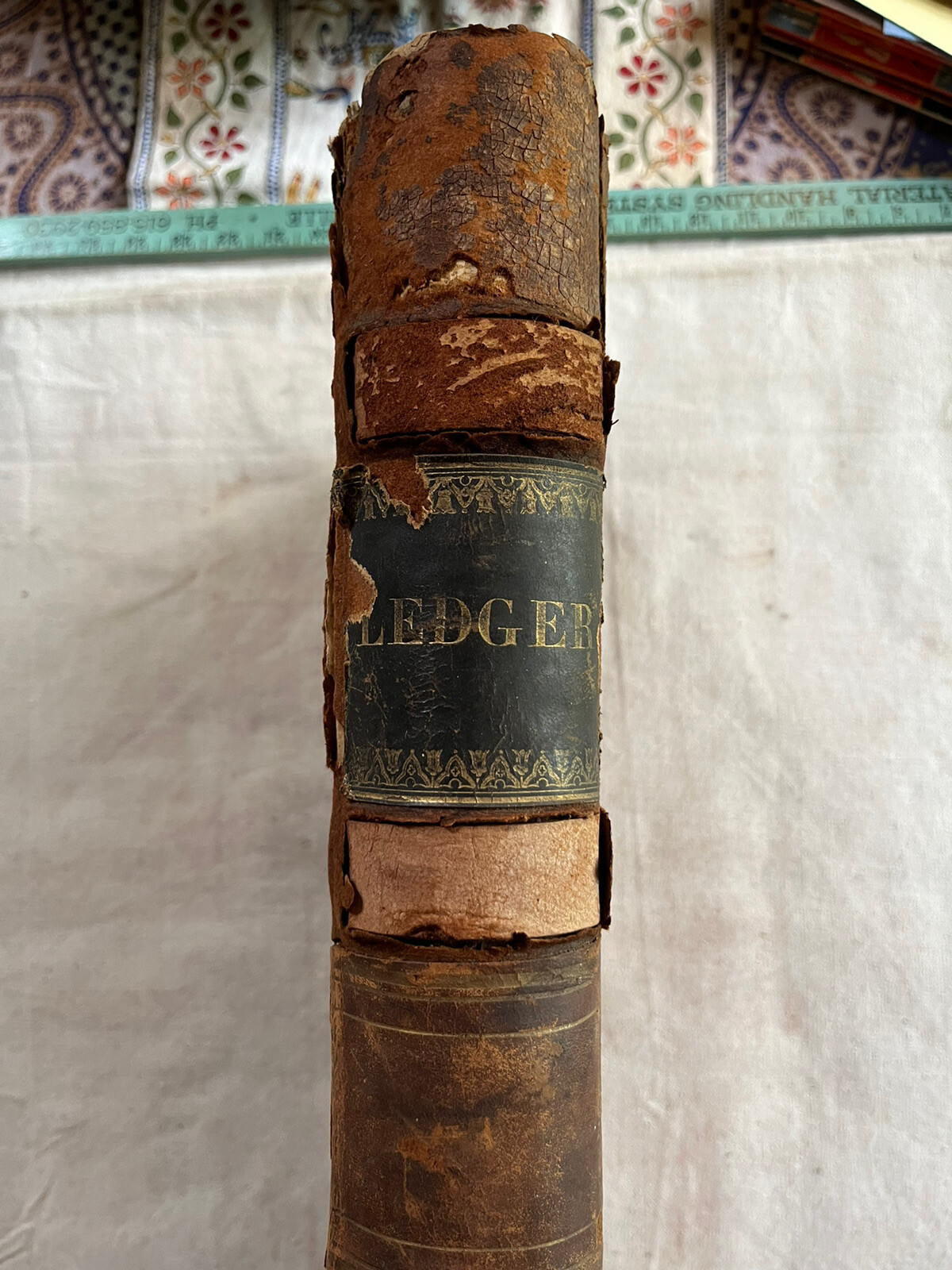 1876 Arnold Bros. Dry Goods 480 Full Pages Ledger Wartrace TN History Geneology
