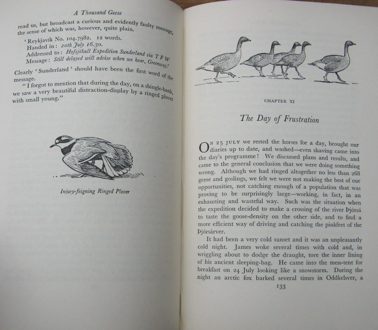 1953 A Thousand Geese- Peter Scott James Fisher 1st Edition