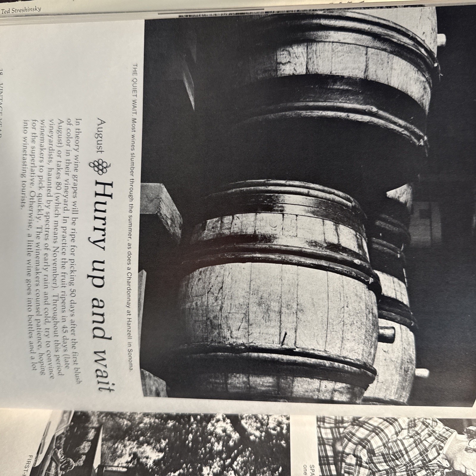 California Wine – A Sunset Pictorial Book, 1973 – 1st Edition Wine History