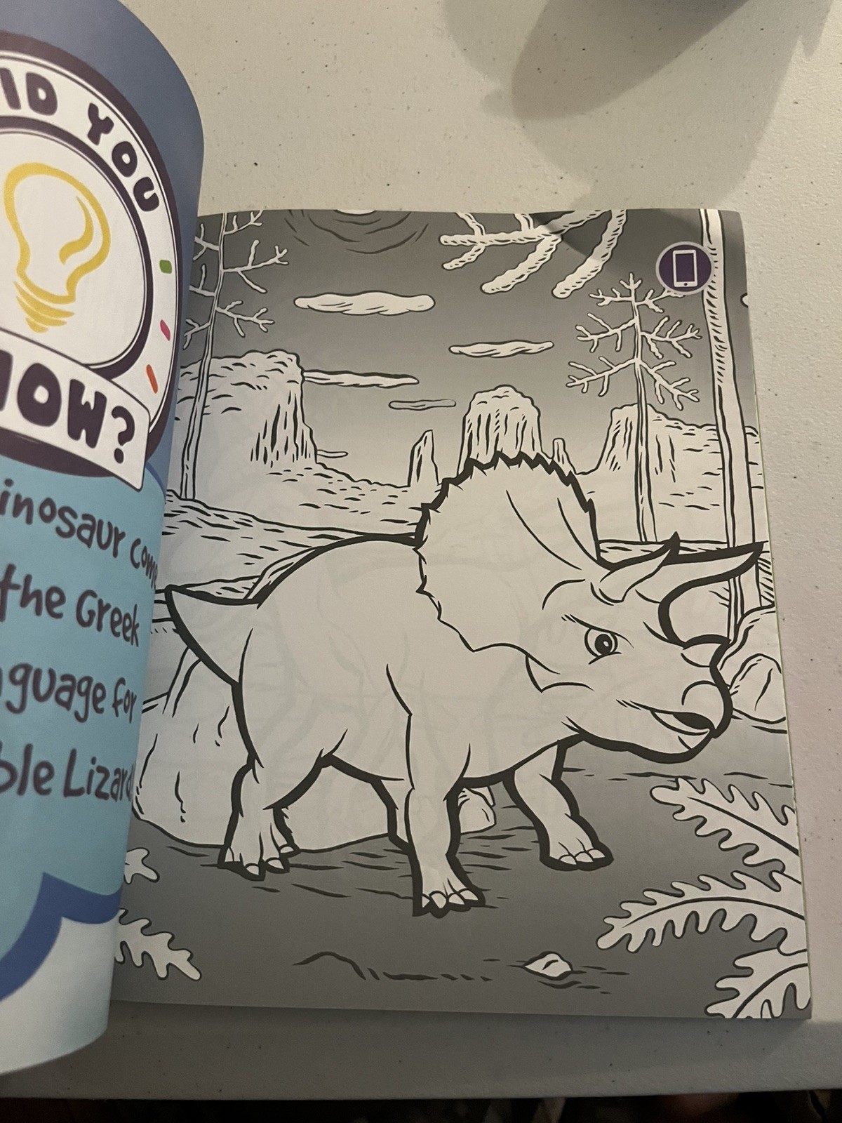 Dinosaur World Pukka 8421-FUN Coloring Book (E)