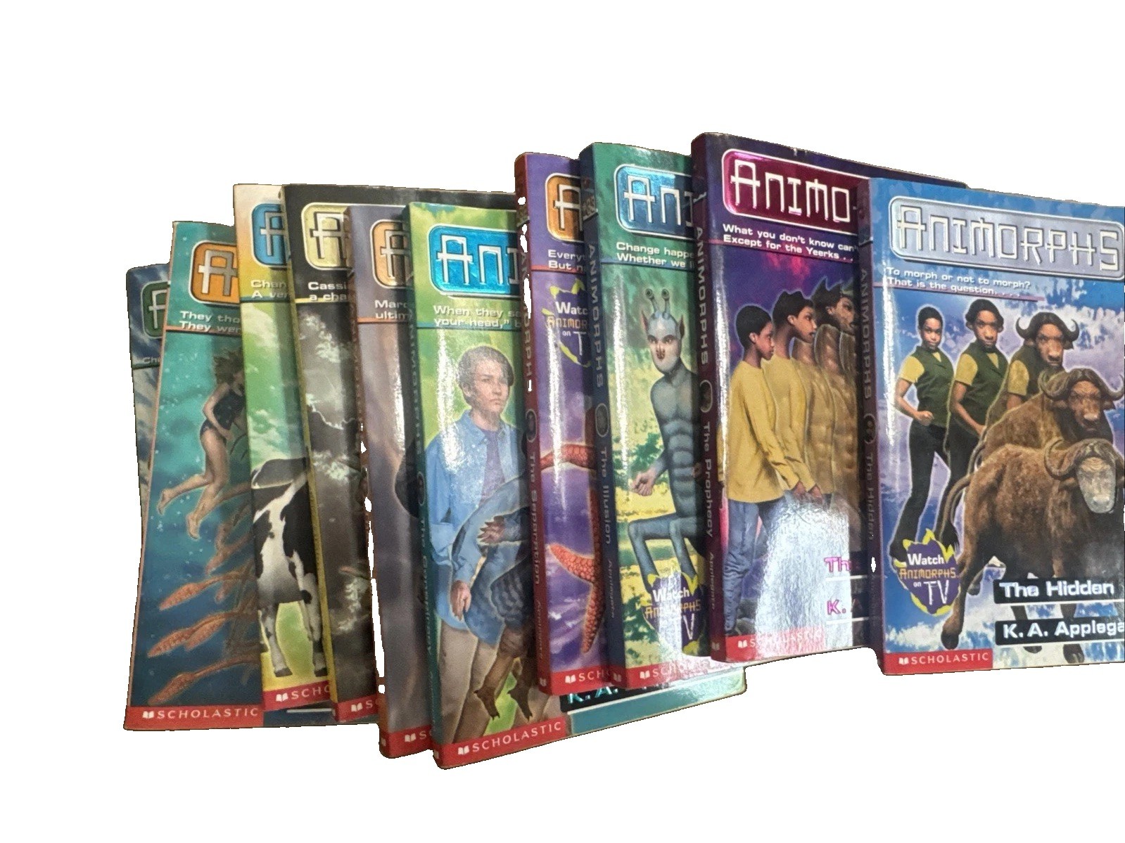 Lot of 14 Book Animorphs by K.A. Applegate 1, 3-13, 15 + Andalite Chronicles