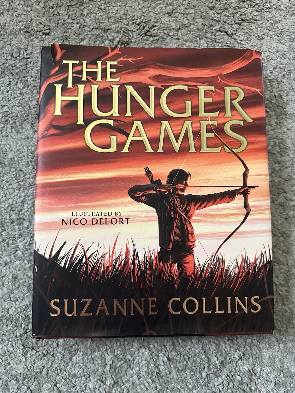 Suzanne Collins The Hunger Games Illustrated Edition Hardcover Nico Delort Art