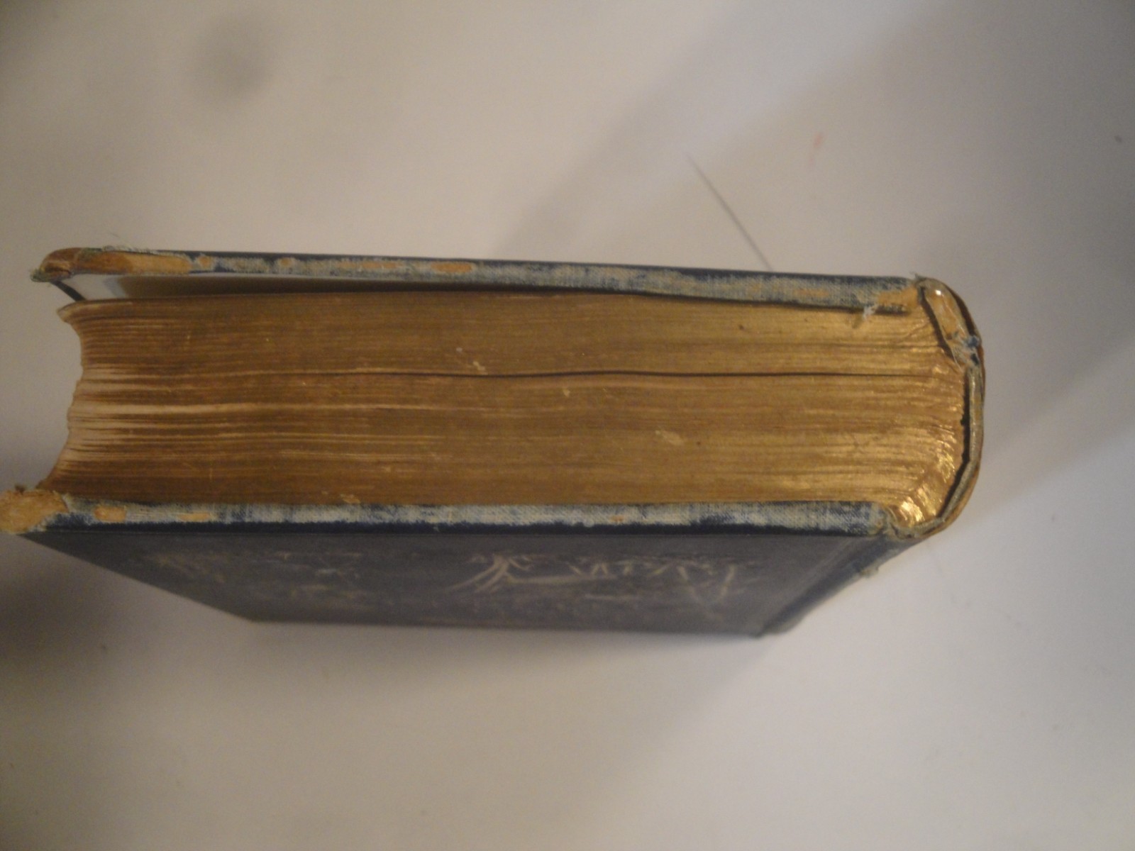 1887 / 4th ed / Gilbert White’s Shelborne/CLASSIC 19TH CENTURT NATURAL HISTORY