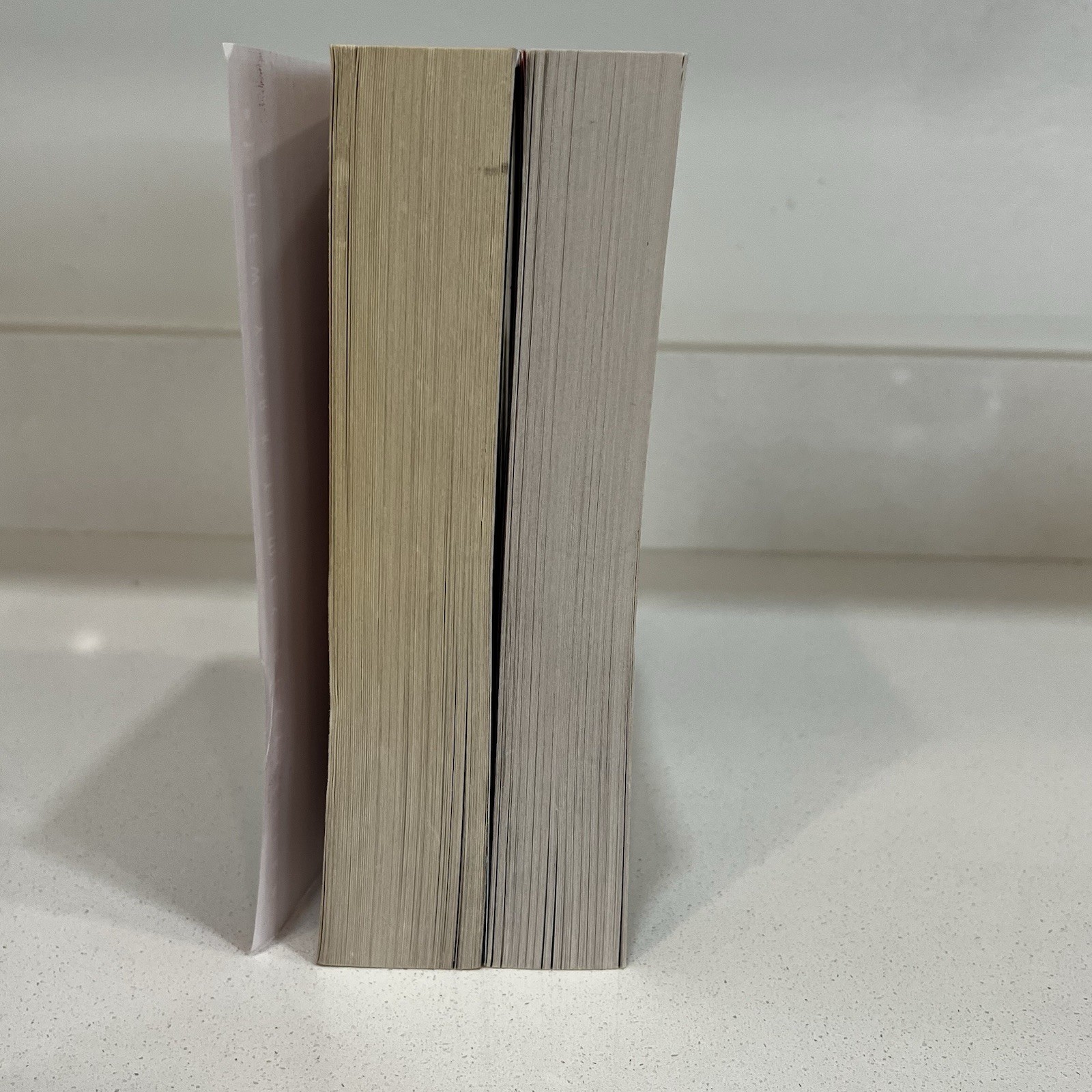 Amor Towles 2 Books A Gentleman in Moscow The Lincoln Highway By Amor Towles PB
