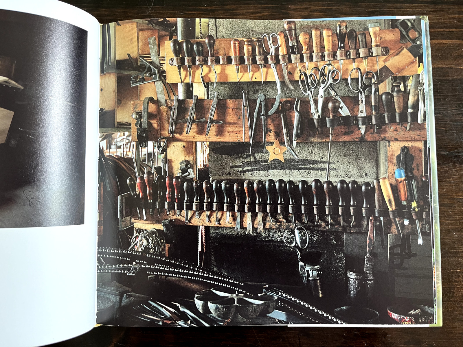 Amish Life : Living Plainly and Serving God Hardcover — Darryl D. Jones