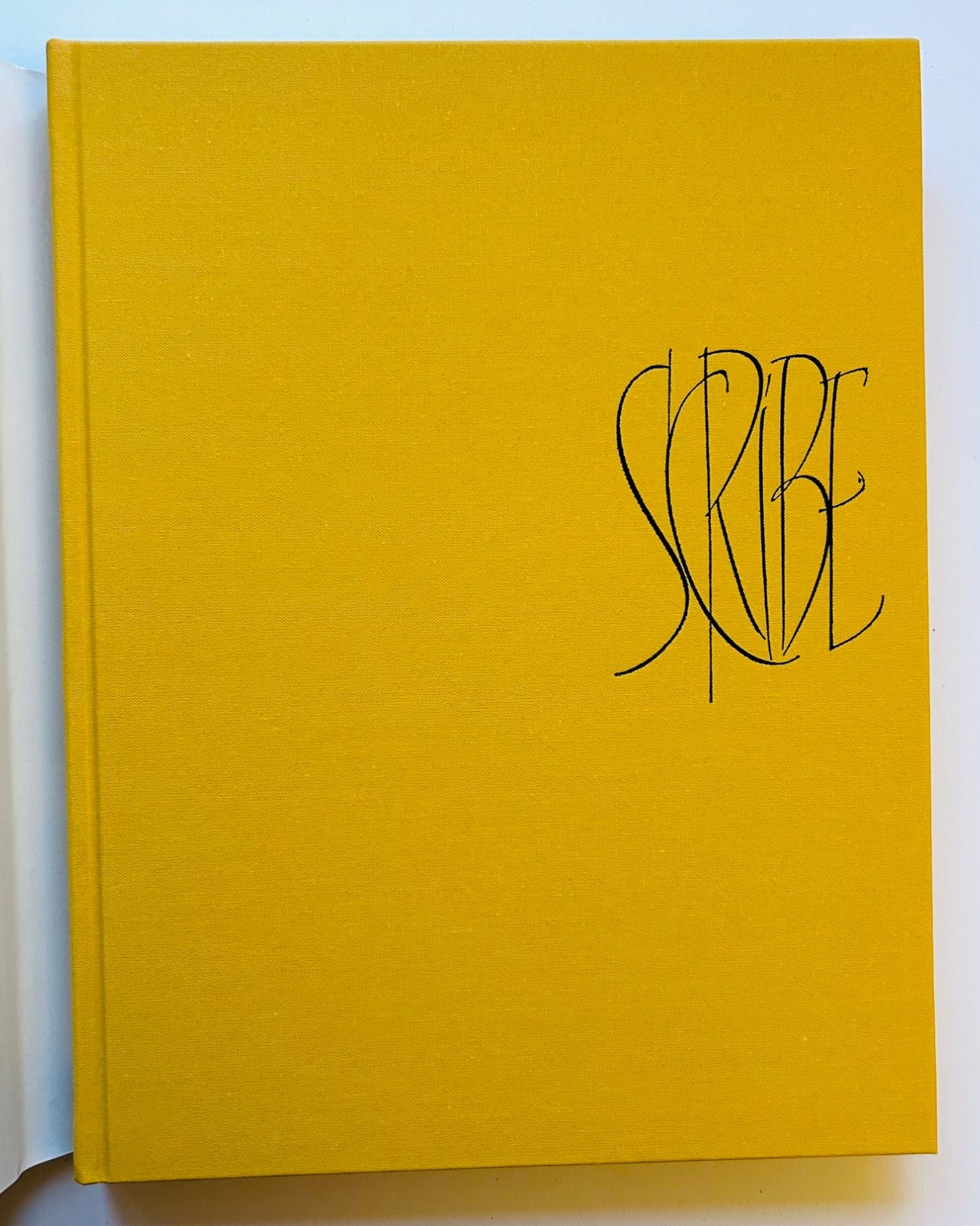 Scribe: Artist of the Written Word, John Stevens HCDJ RARE out of print