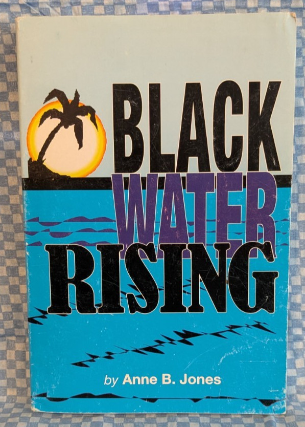SIGNED by author! Blackwater Rising Anne B Jones paperback 2008 GEORGIA novel