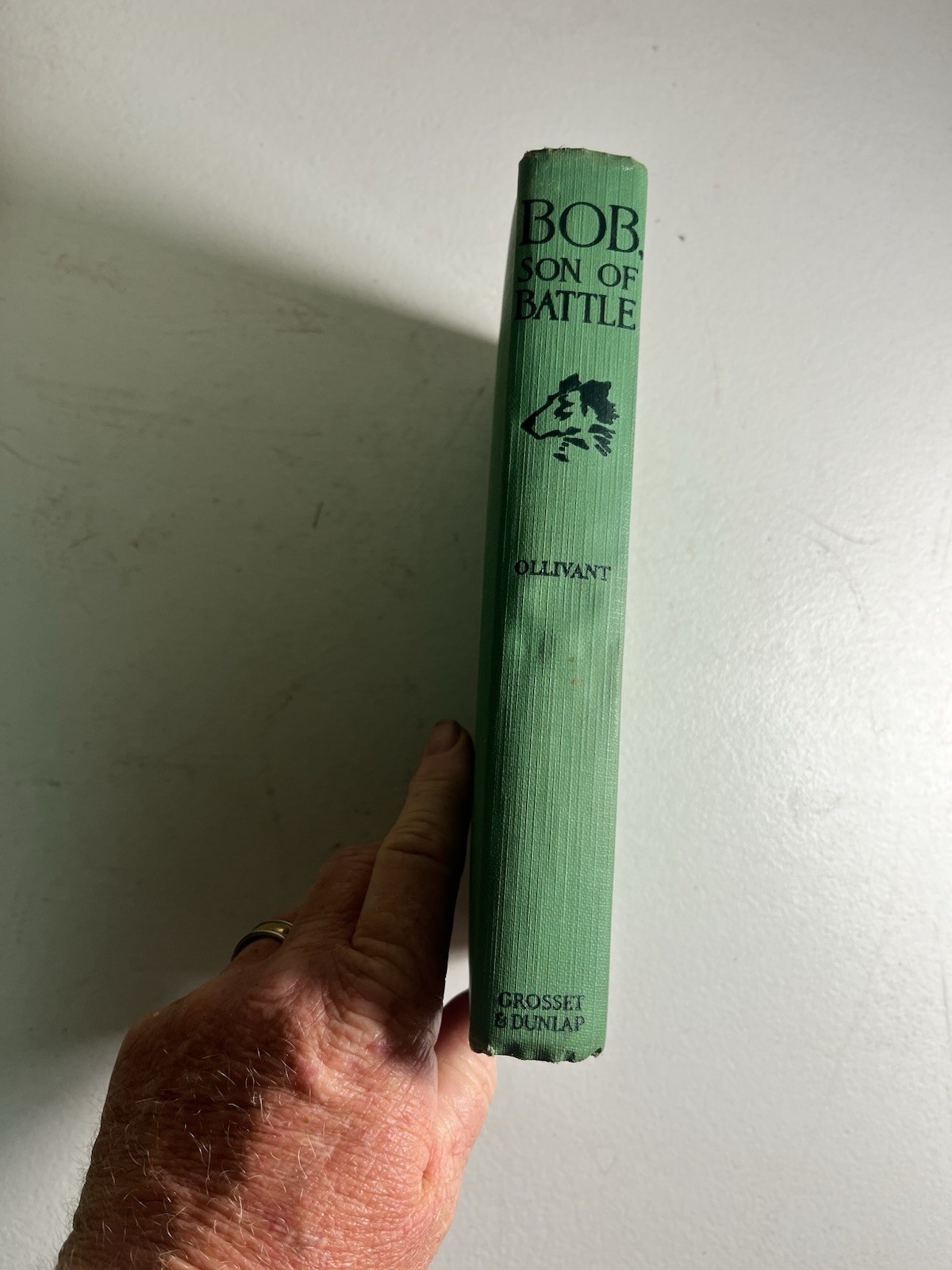 Bob Son of Battle by Alfred Ollivant 1898