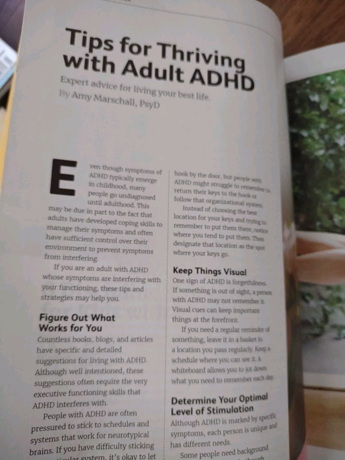 Very Well Special Edition ADHD A New Understanding 9/20/24