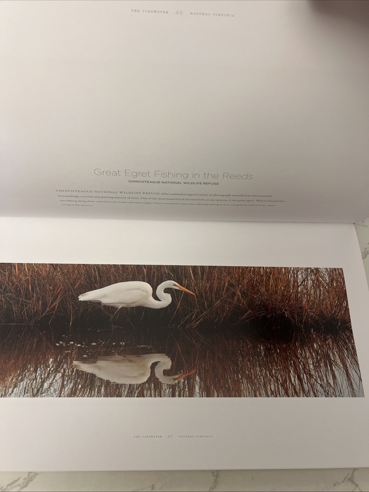 NATURAL VIRGINIA By Ben Greenberg – HCDJ Signed Copy