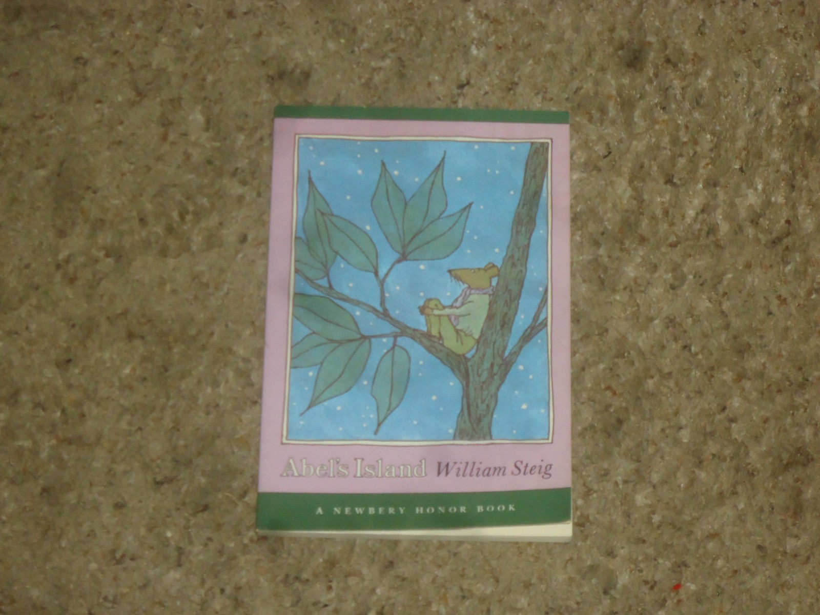 Build A Lot Newberry Books You Pick Choose
