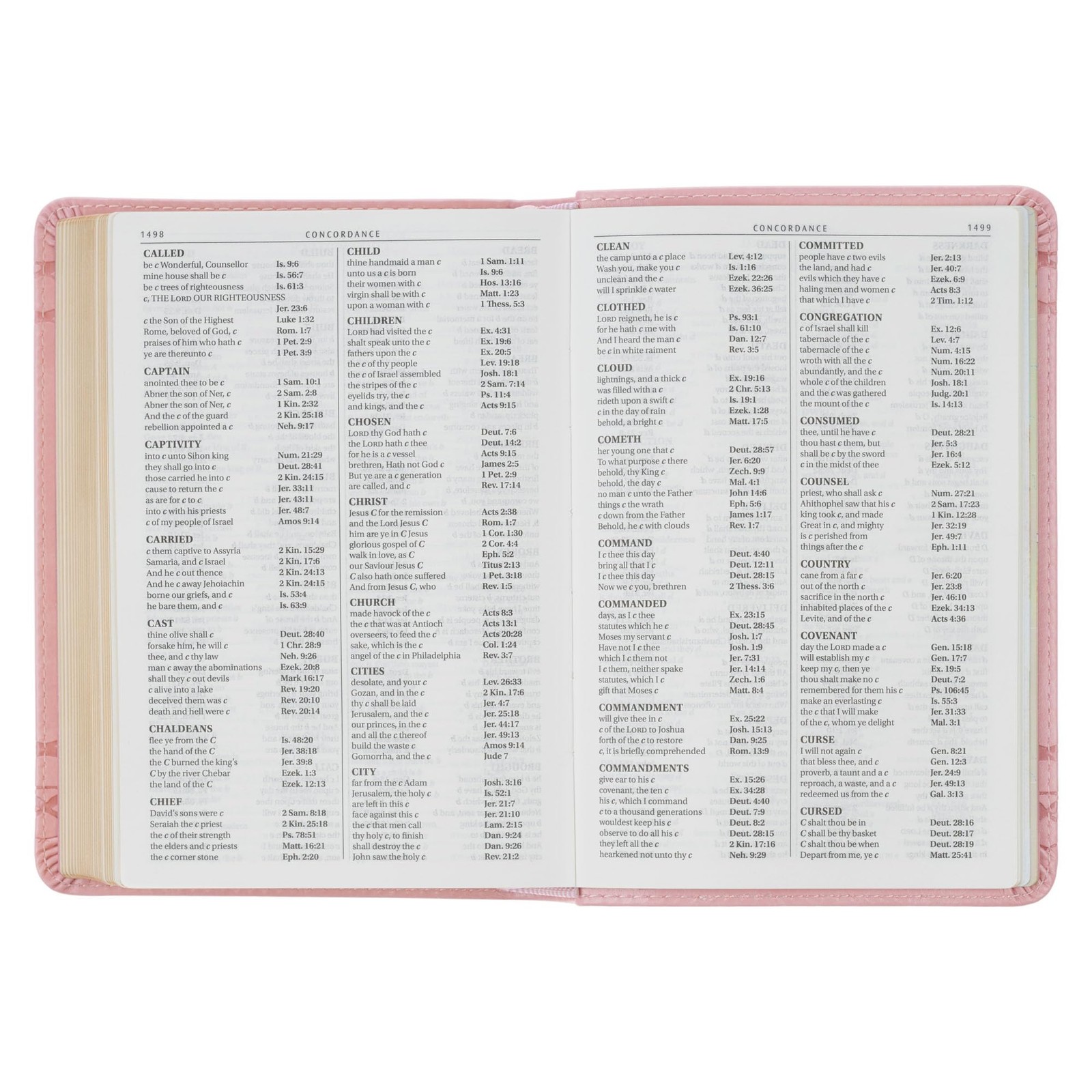KJV Holy Bible, Compact Large Print Vegan Leather Red Letter Edition -…