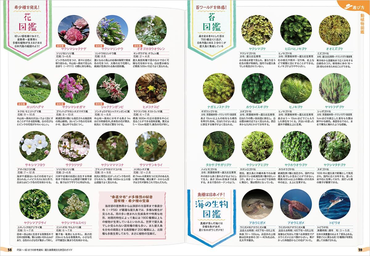 Yakushima Island complete Guide Book Travel to Japan Softcover
