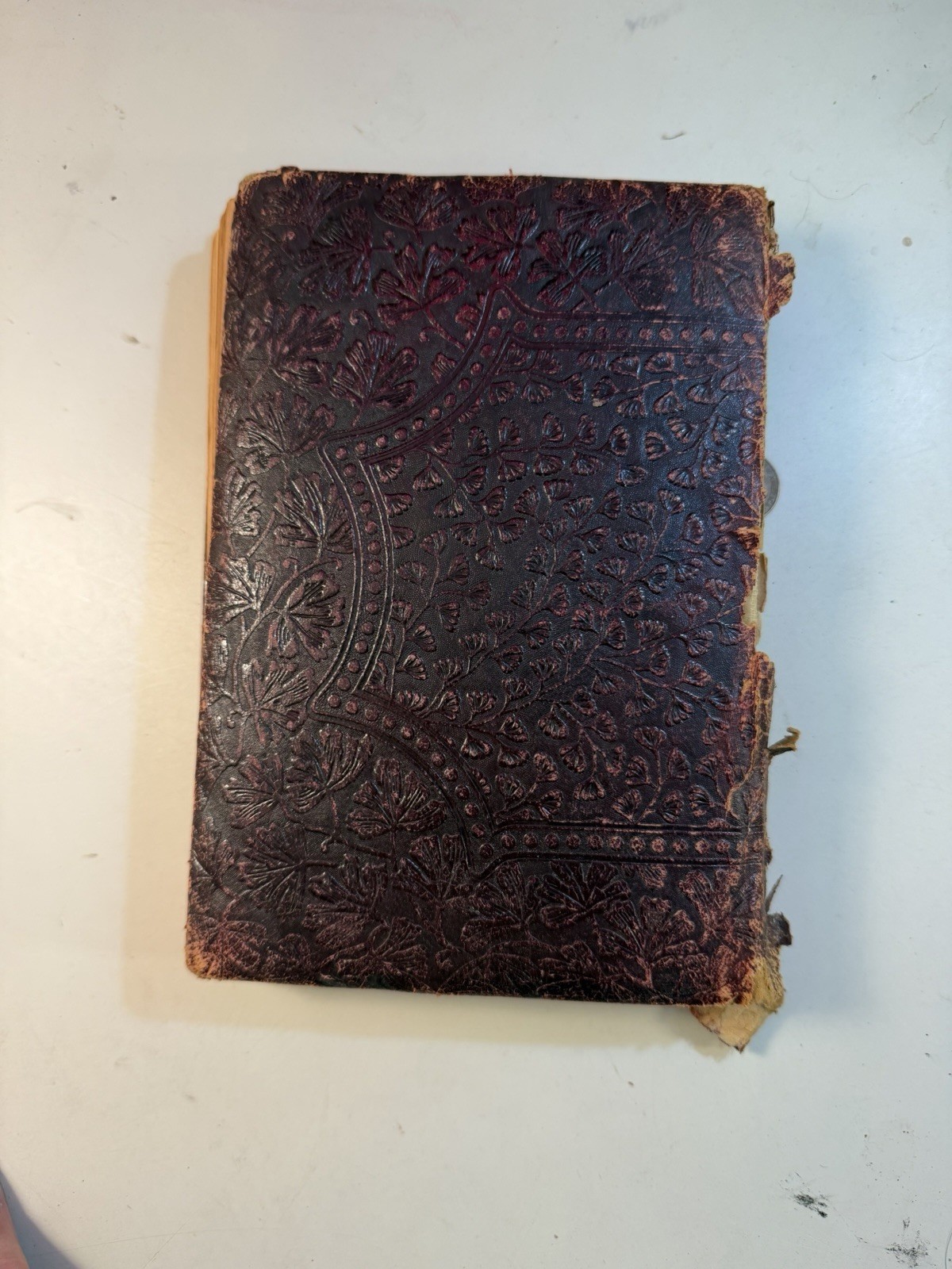 Poems of Edgar Allan Poe – 1882 Book – Rare Copy – Thomas Y. Crowel