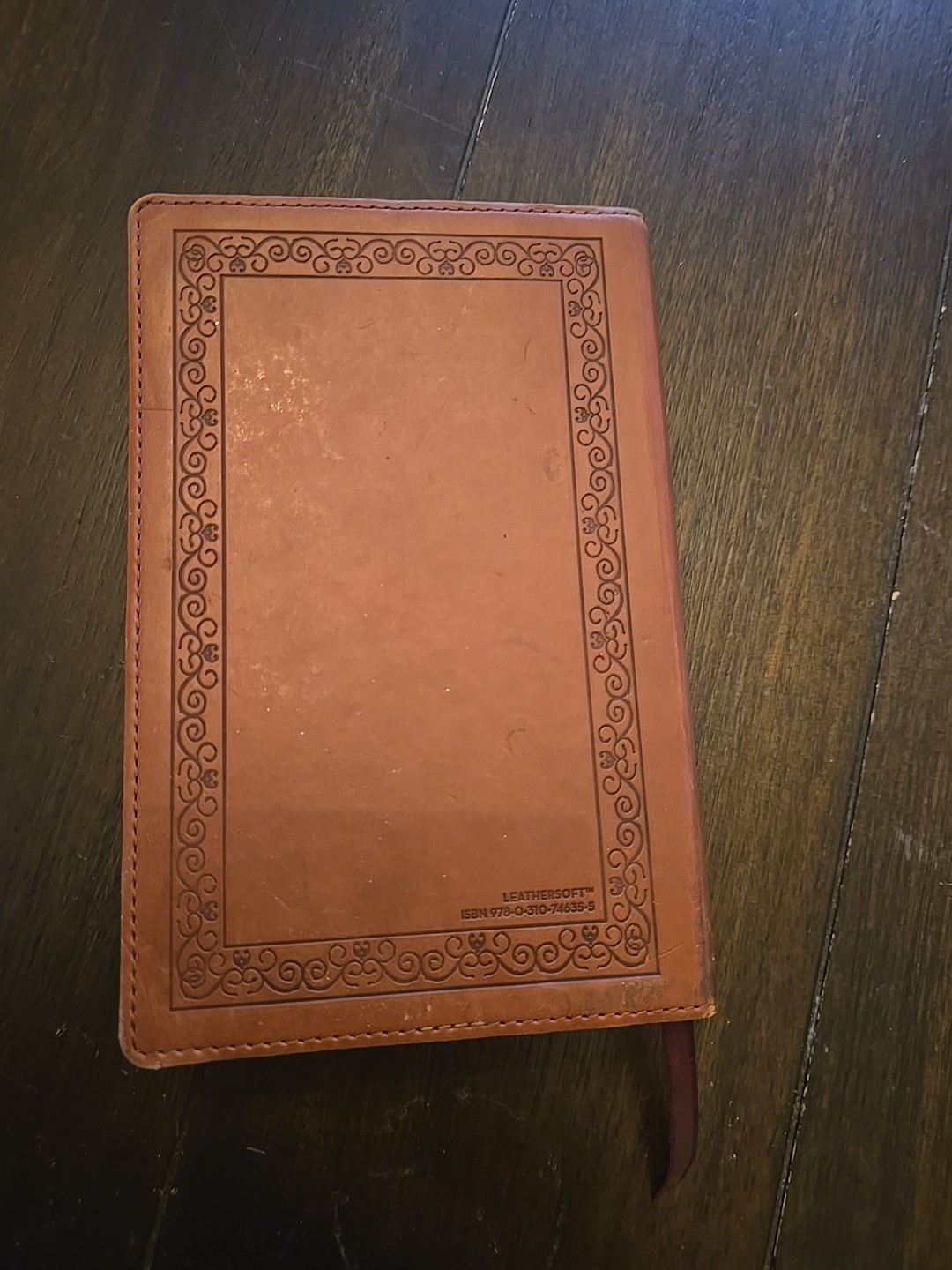 NIV Teen Study Bible Leather Bound Paperback