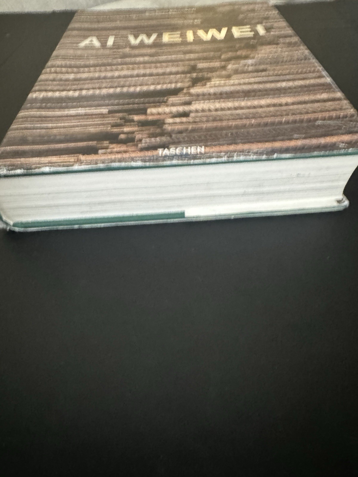 Signed! Ai Weiwei by Hans Werner Holzwarth (2016, Hardcover)