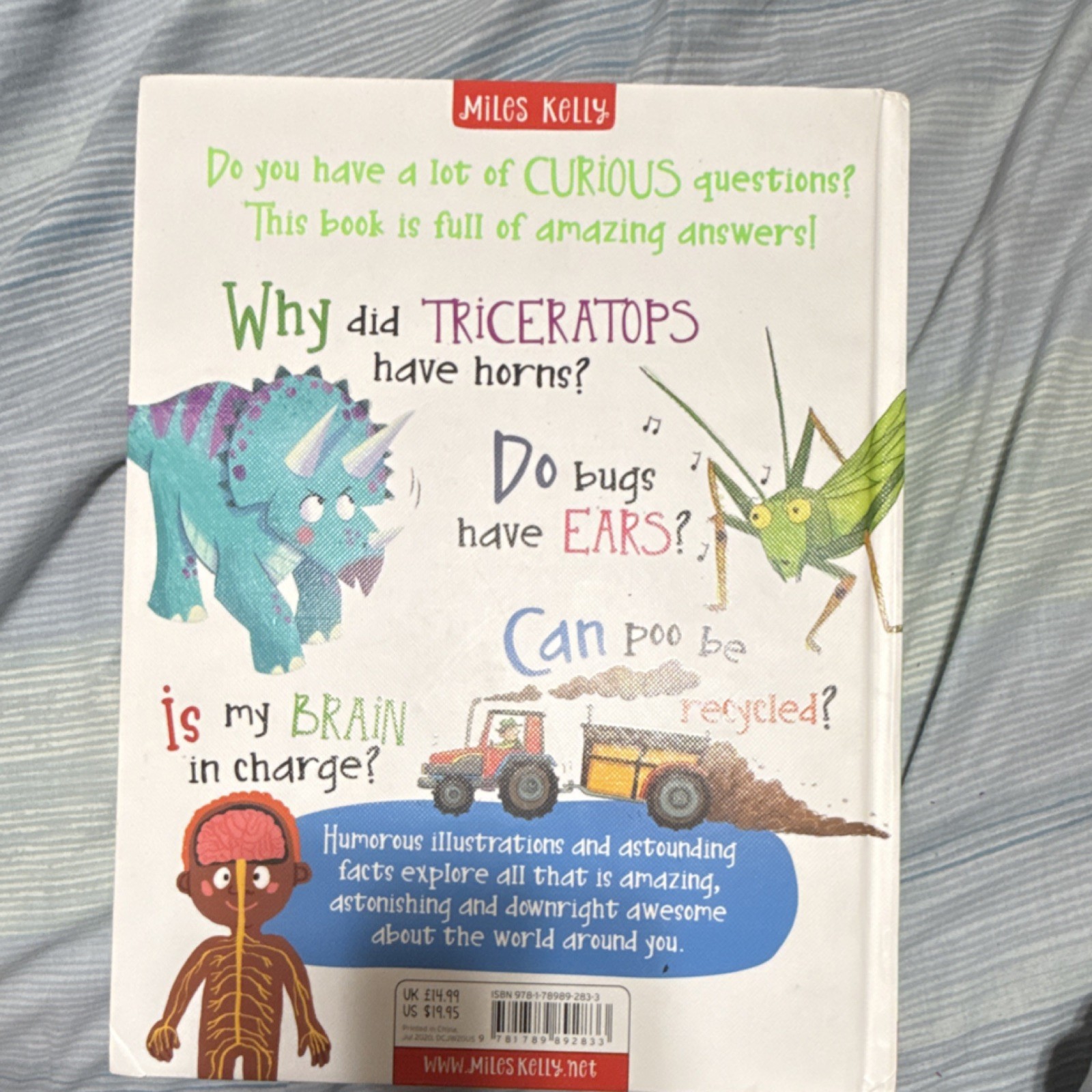 Miles Kelly Incredibly Curious Questions and Answers Hardcover Illustrated Book