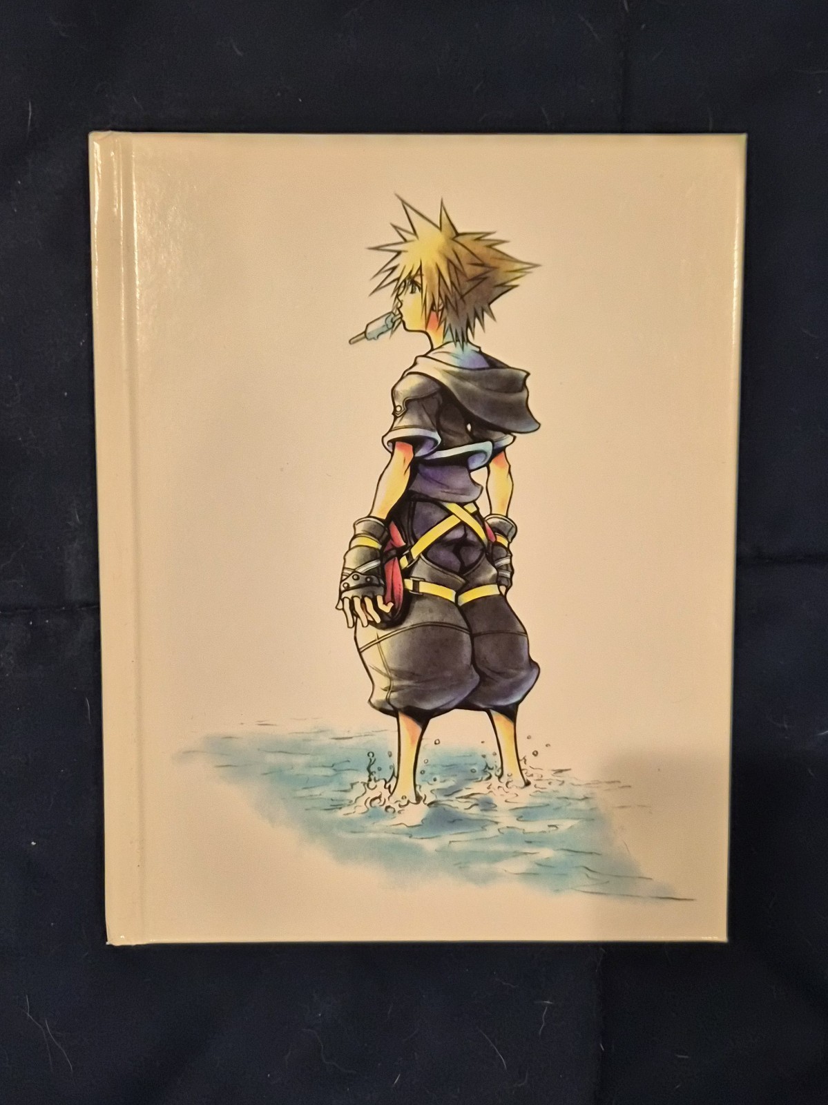 Kingdom Hearts HD 2.5 Art Book