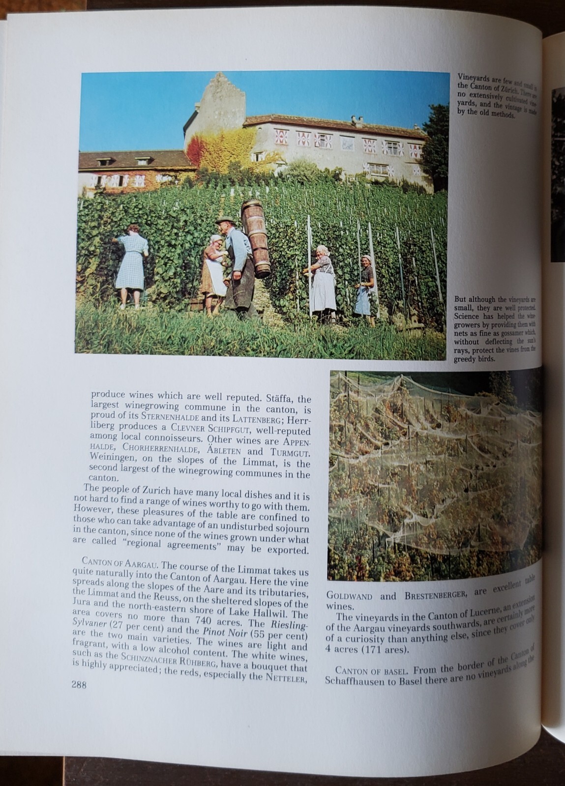 The Great Book of Wine 522 Pages 240 Illustrations 1982 7500 Wines Learn History