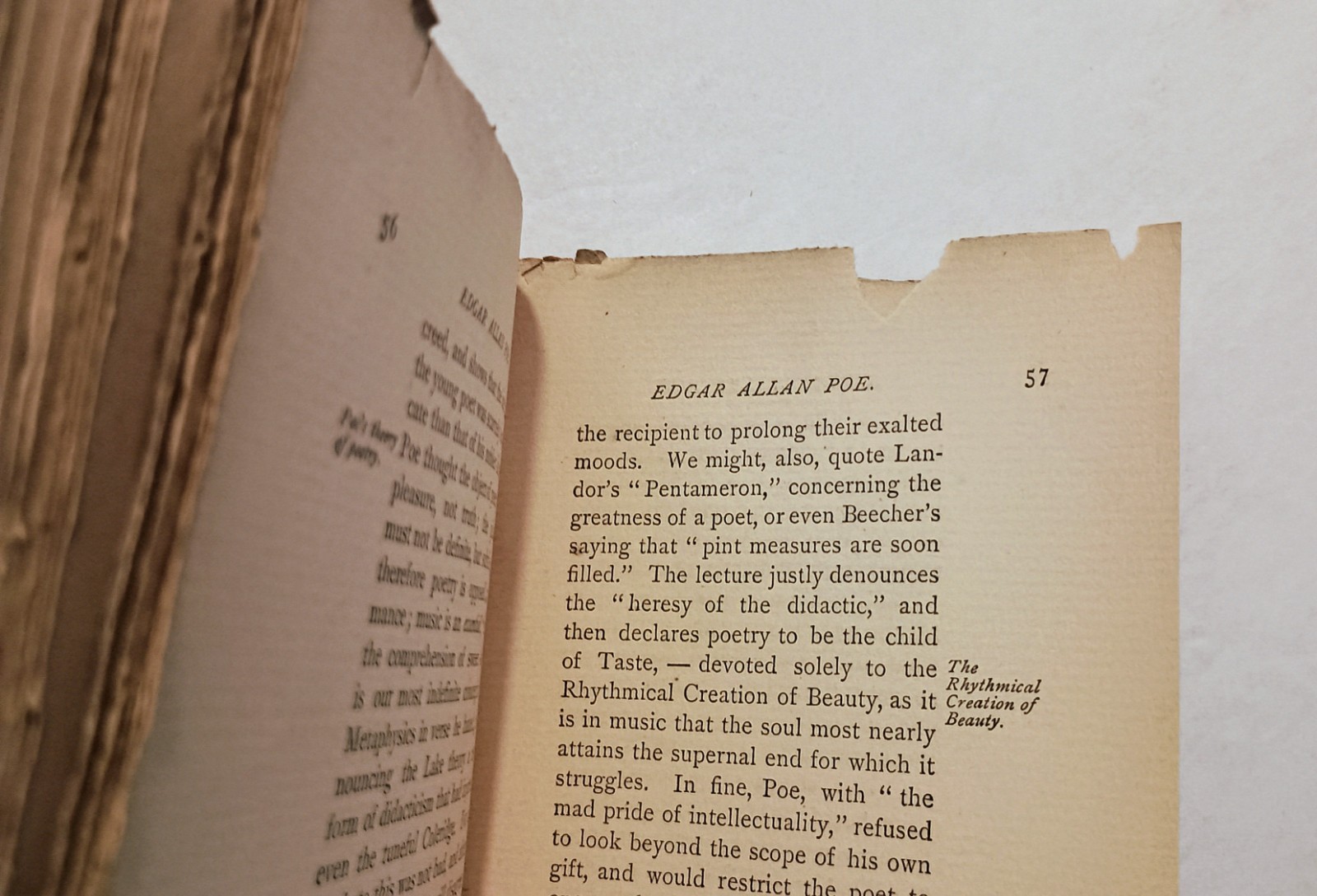 1881 EDGAR ALLAN POE by E.C. Stedman, 1st Edition, Biography