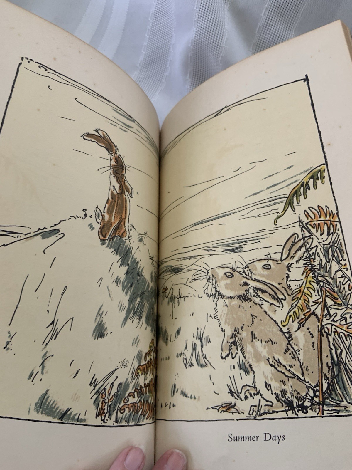 The Velveteen Rabbit, Margery Williams, HC, 1920s Early Rare CL Edition