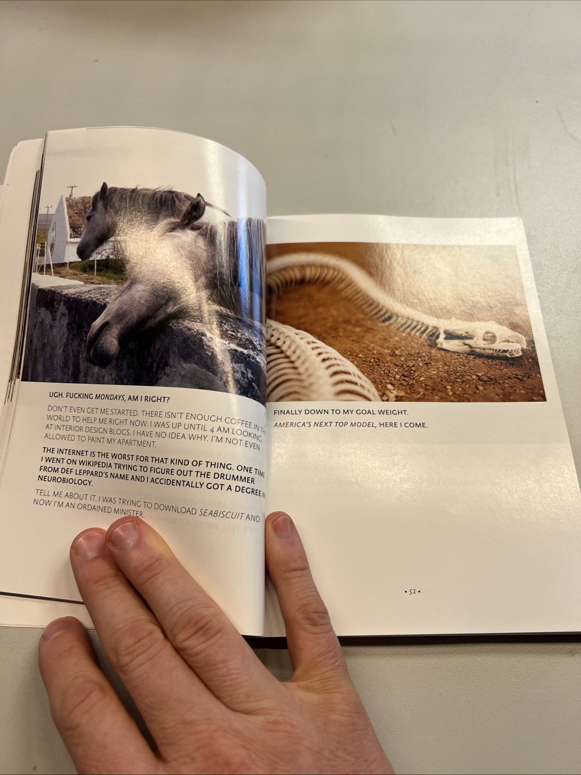 Animals Talking in All Caps: It’s Just – paperback, Justin Valmassoi, 0385347642