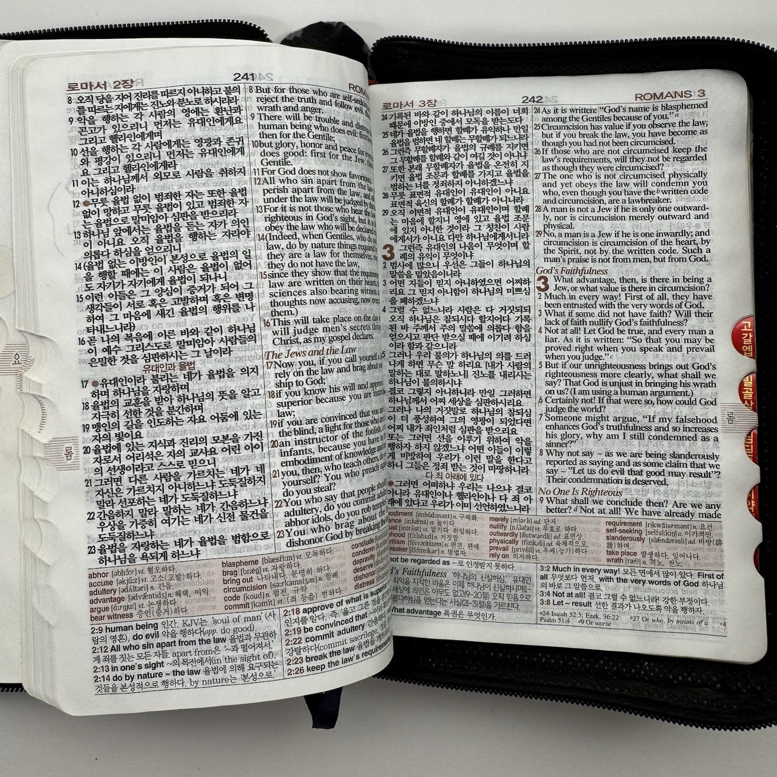 NIV NKRV Korean-English Study Bible Zippered Faux Leather Word of Life Press