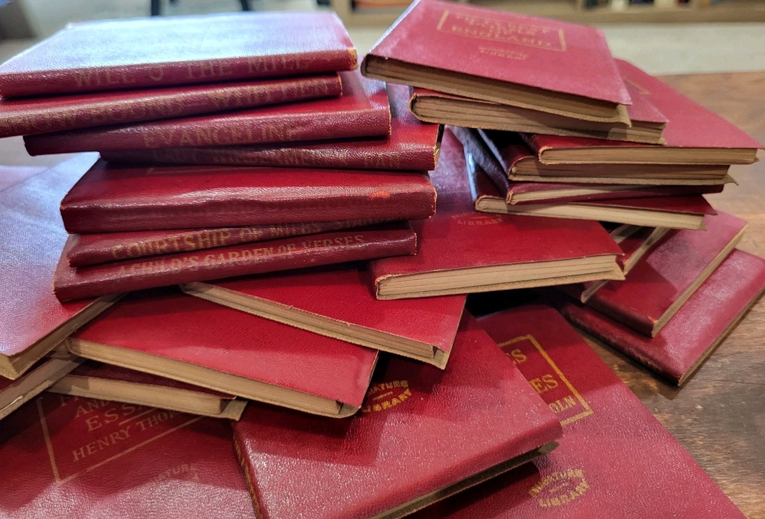 Lot of 66 Vintage 1920s Little Leather Library Miniature Red Books Collection