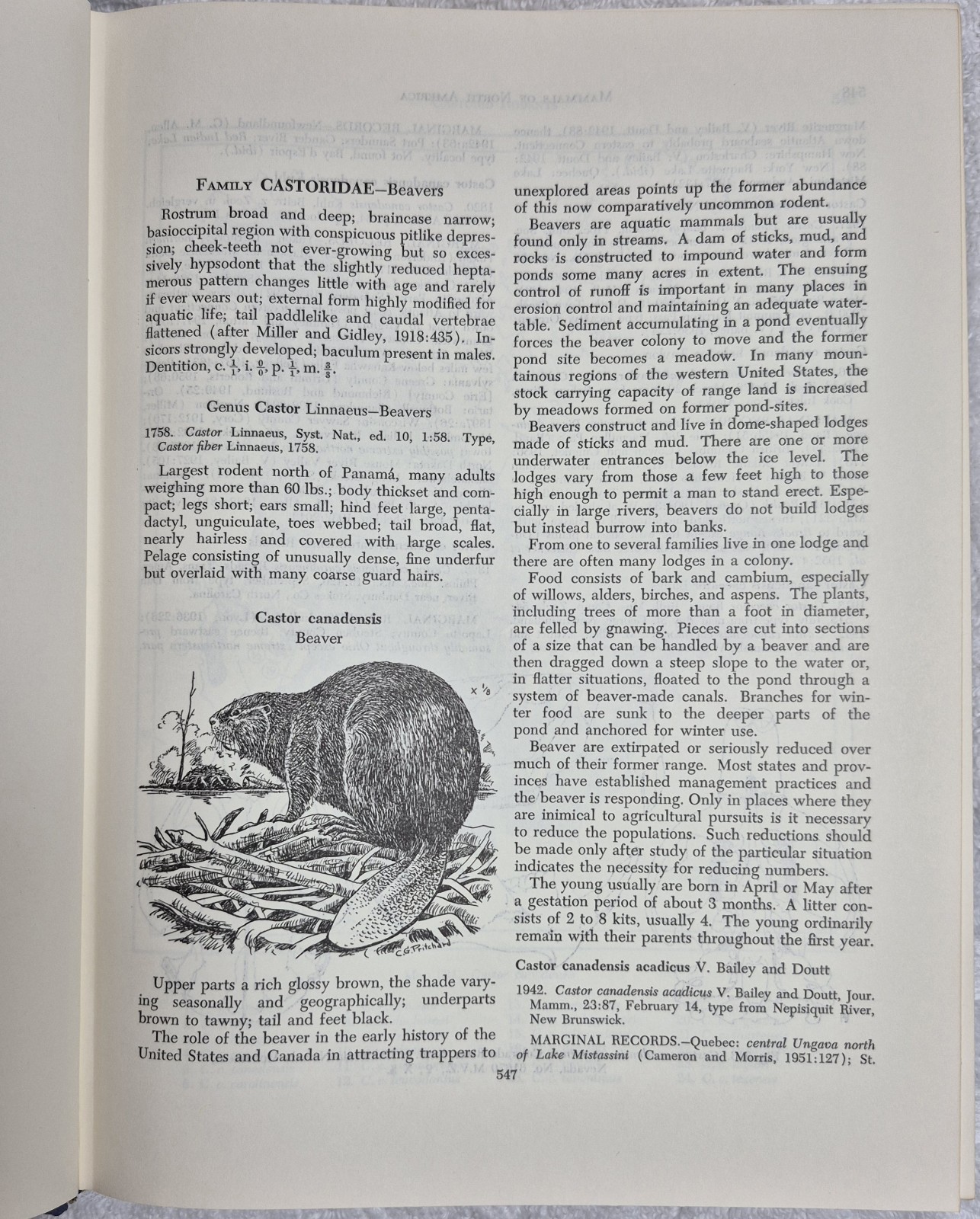 The Mammals of North America (Hall & Kelson • 2‑Volume Set)