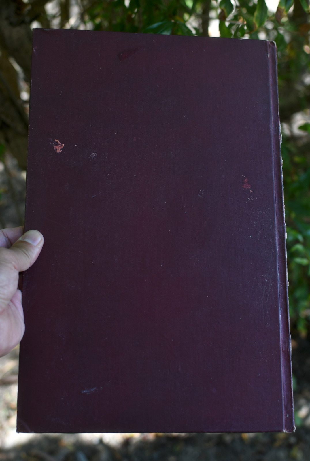 Edgar Allan Poe: 1895 facsimile edition of The Murders in the Rue Morgue