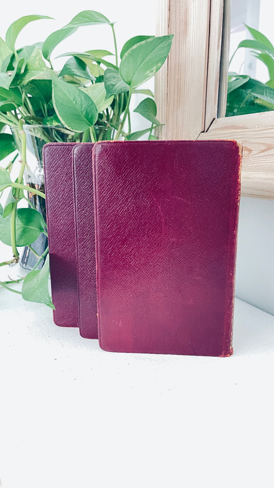 Decorative Red Leather Covered Antique Book Gilded Cover 1910 Set of 3