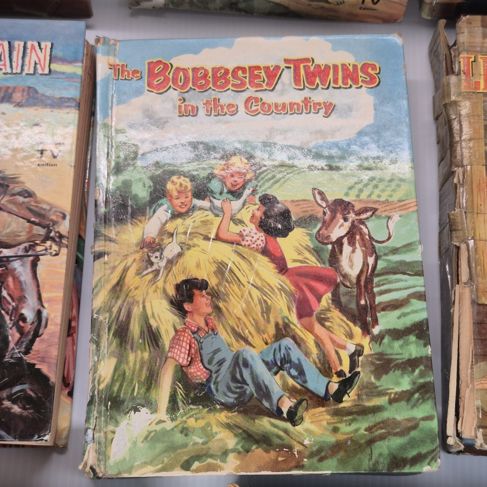 vintage Whitman publishing hardcover books featuring Western TV show Lot Of 11