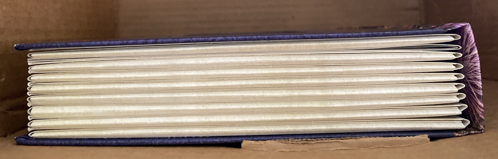 America: A Photicular Book by Dan Kainen Hardcover Book