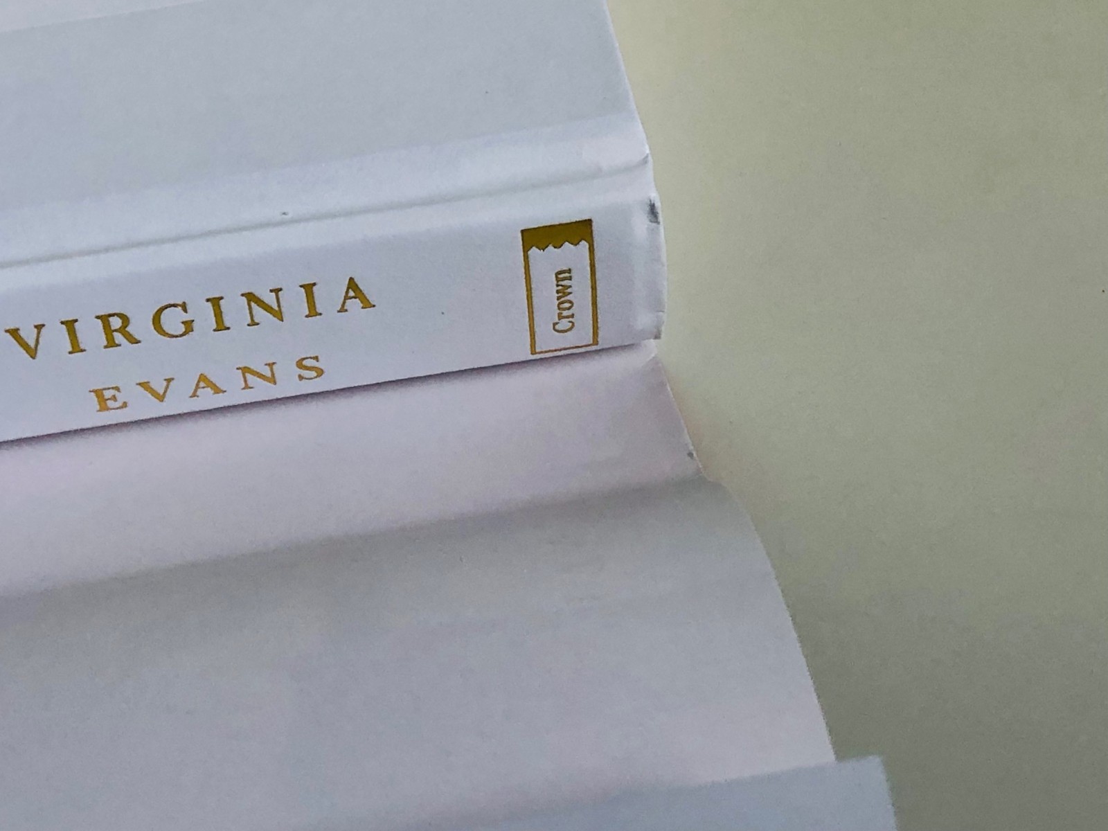 SIGNED The Correspondent: A Novel by Virginia Evans (2025, Hardcover)