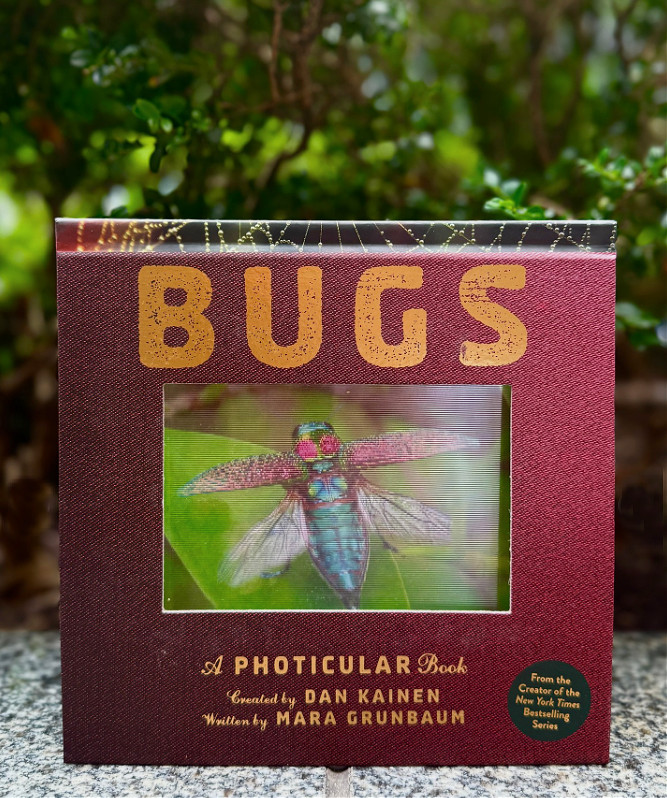 Bugs A Photicular By Dan Kainen Hardcover Book Brand New