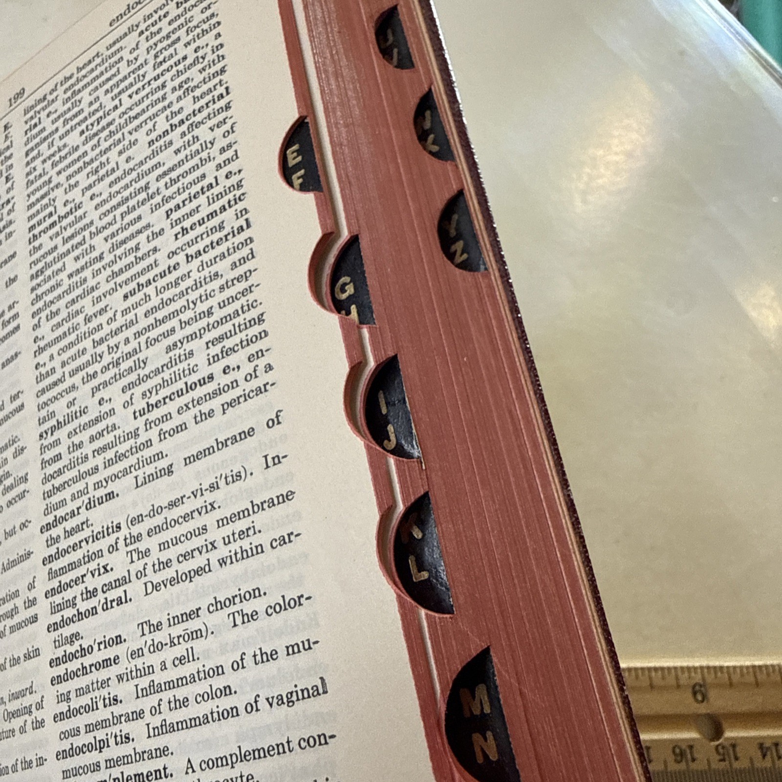 American pocket Medical Dictionary Vintage 1955 Anatomy disease doctor office