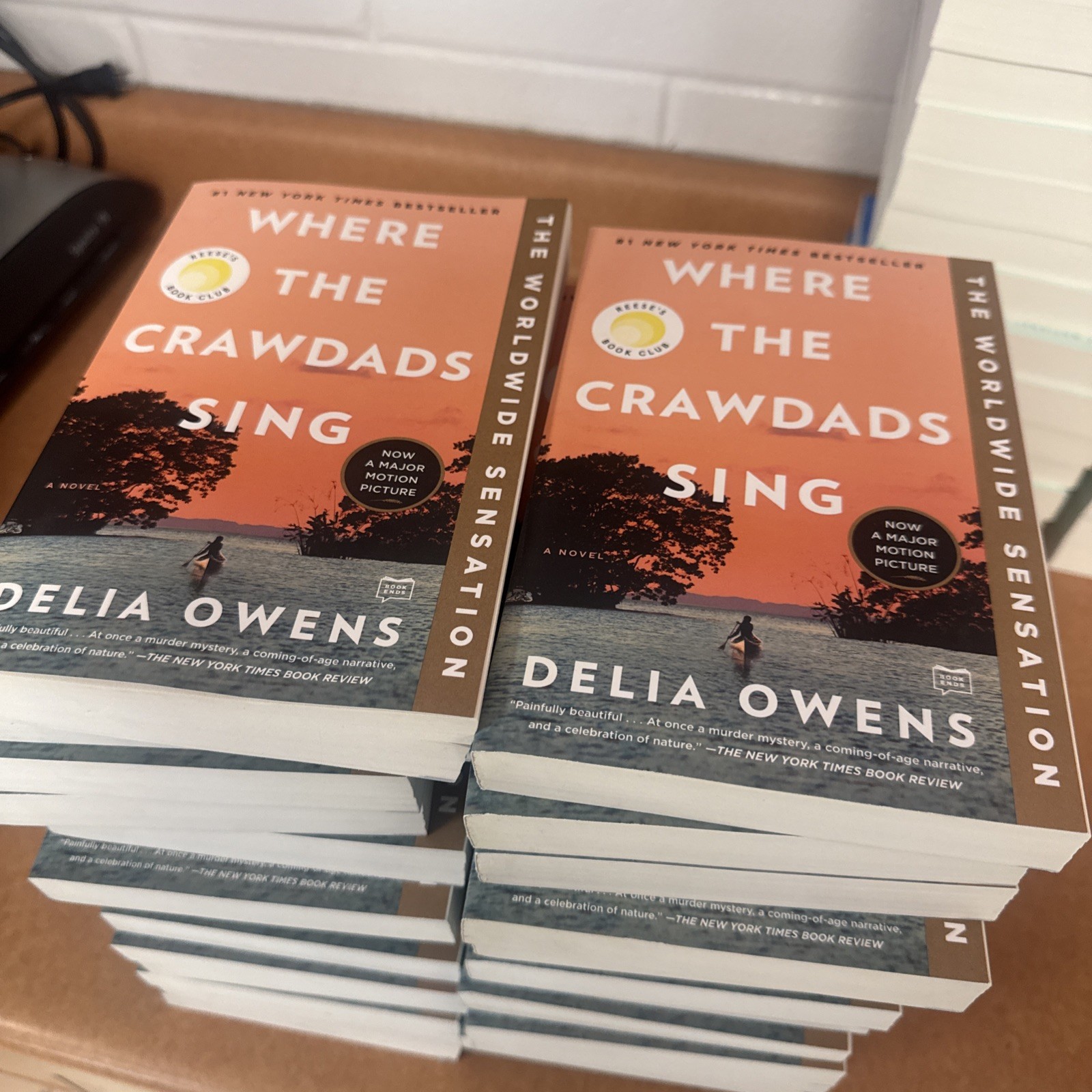 Where the Crawdads Sing: By Delia Owens: Set of 28: Brand New