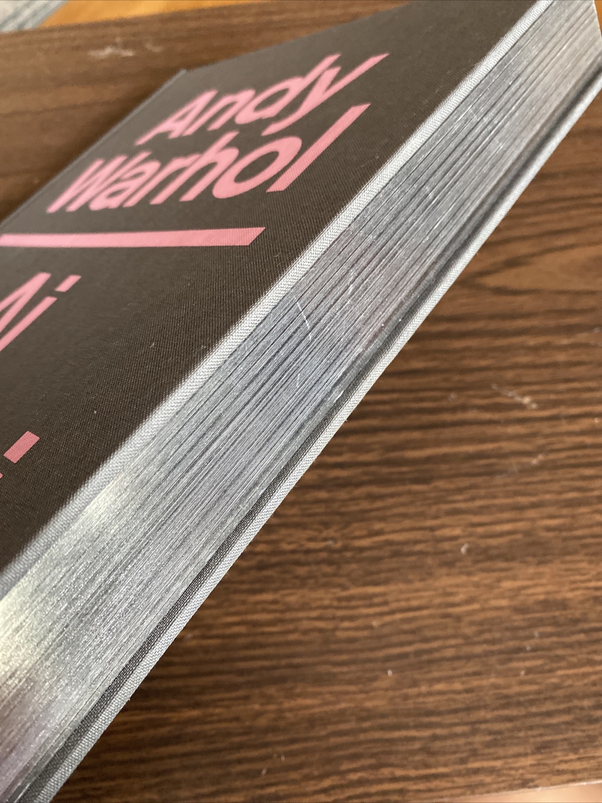 ANDY WARHOL | AI WEIWEI By Max Delany & Eric C. Shiner – Hardcover **Excellent**