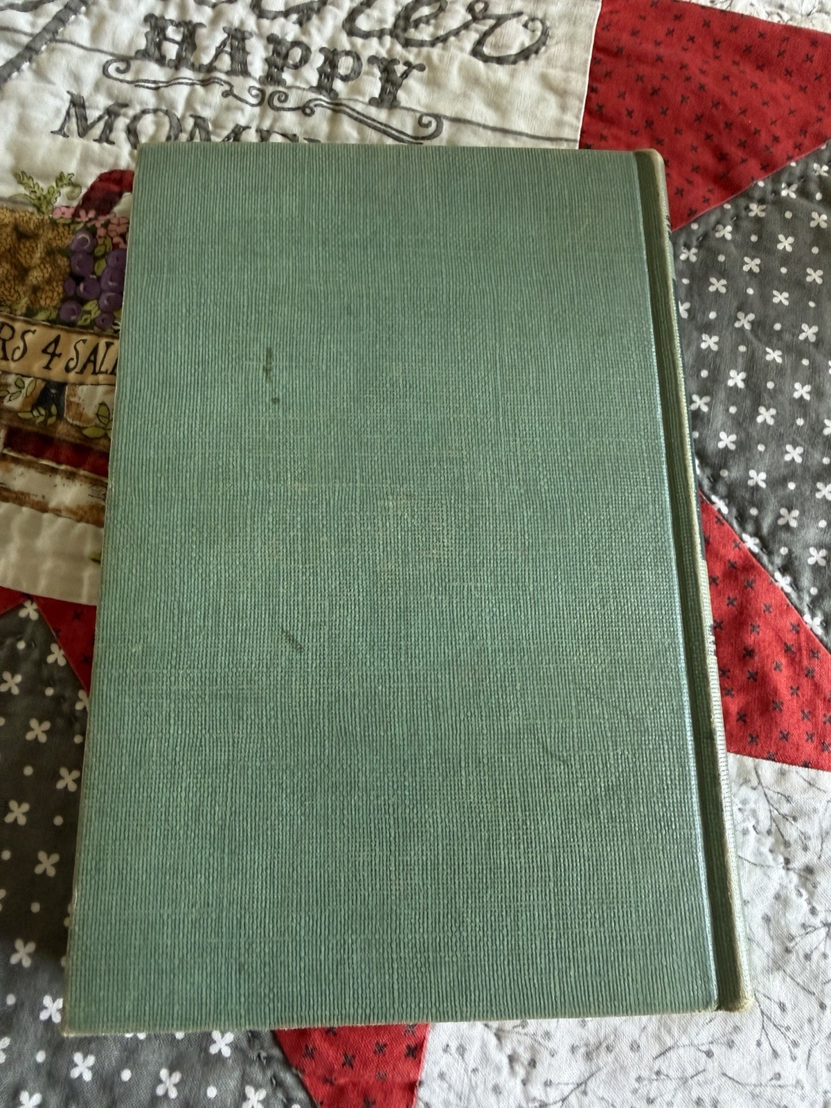 Crown Fire, Eloise Jarvis McGraw, 1951 Hardcover Vintage Children’s Book