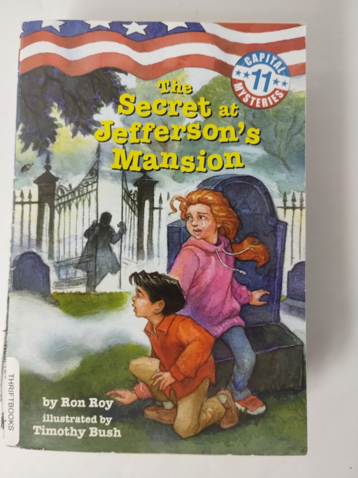 CAPITAL MYSTERIES by Ron Roy Chapter Books Series Lot 6-12 Bundle Kids Chapter