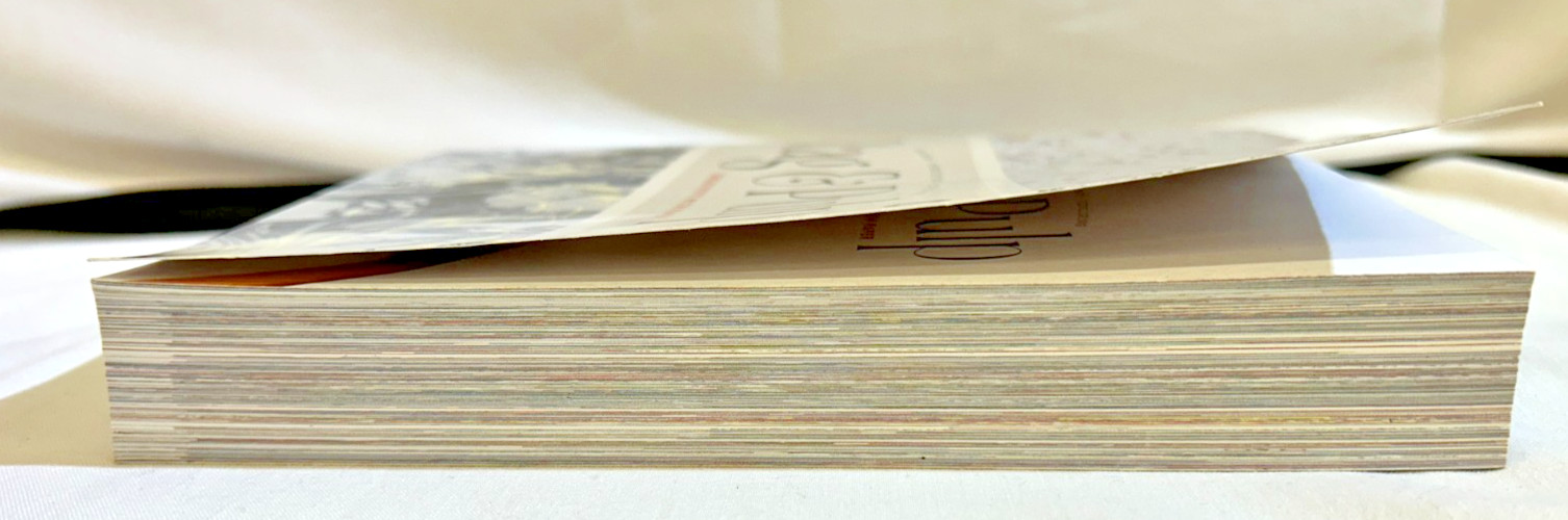 Rag &Pulp: Creativity with Paper. Janine Vangool /Uppercase ~ Book ONLY