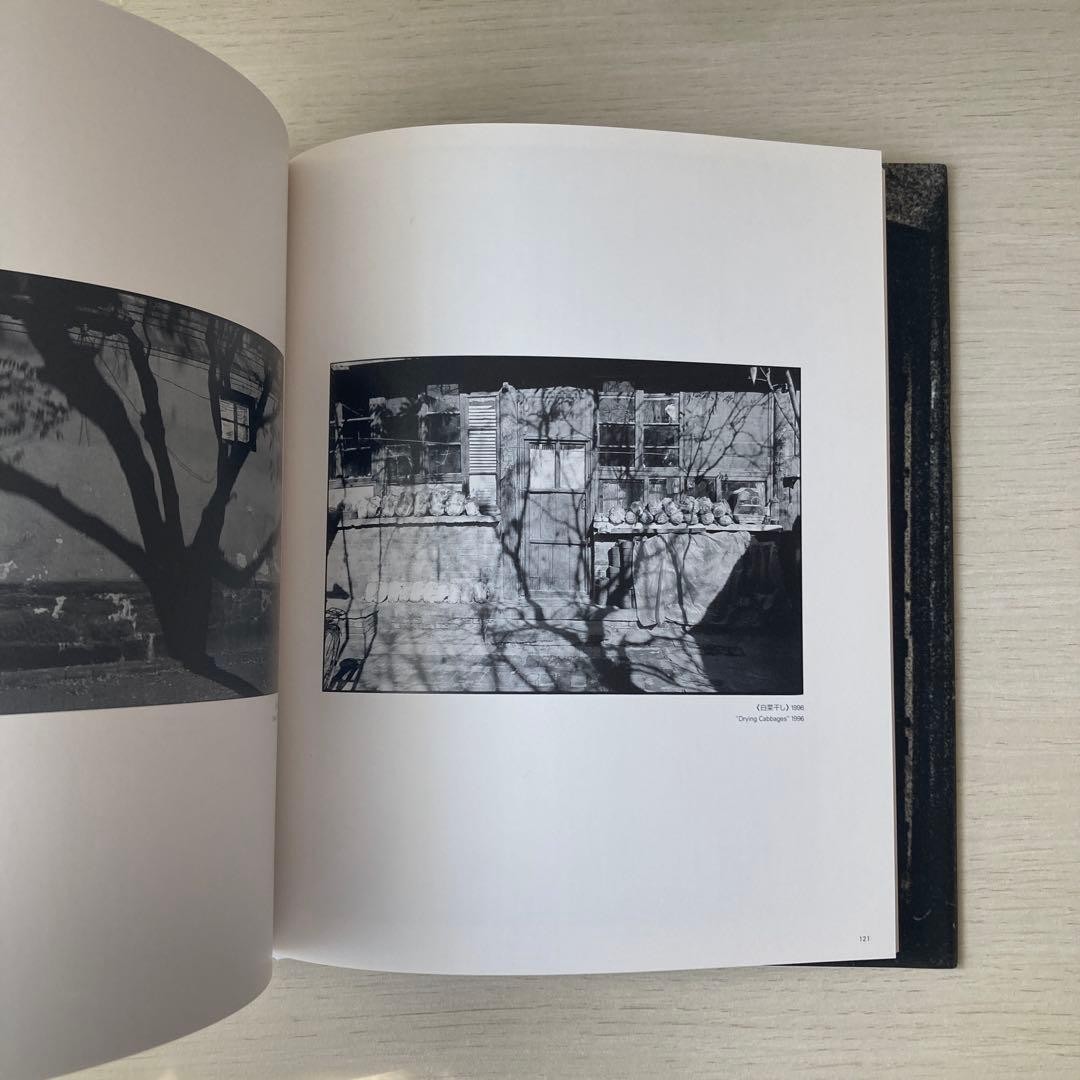 A Landscape Seen Once, Kazuo Kitai, Toseisha, 2012