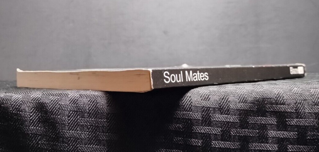 Soulmates D. S. Baze PB 2011 Romance Fiction Lulu Press Trade Paperback