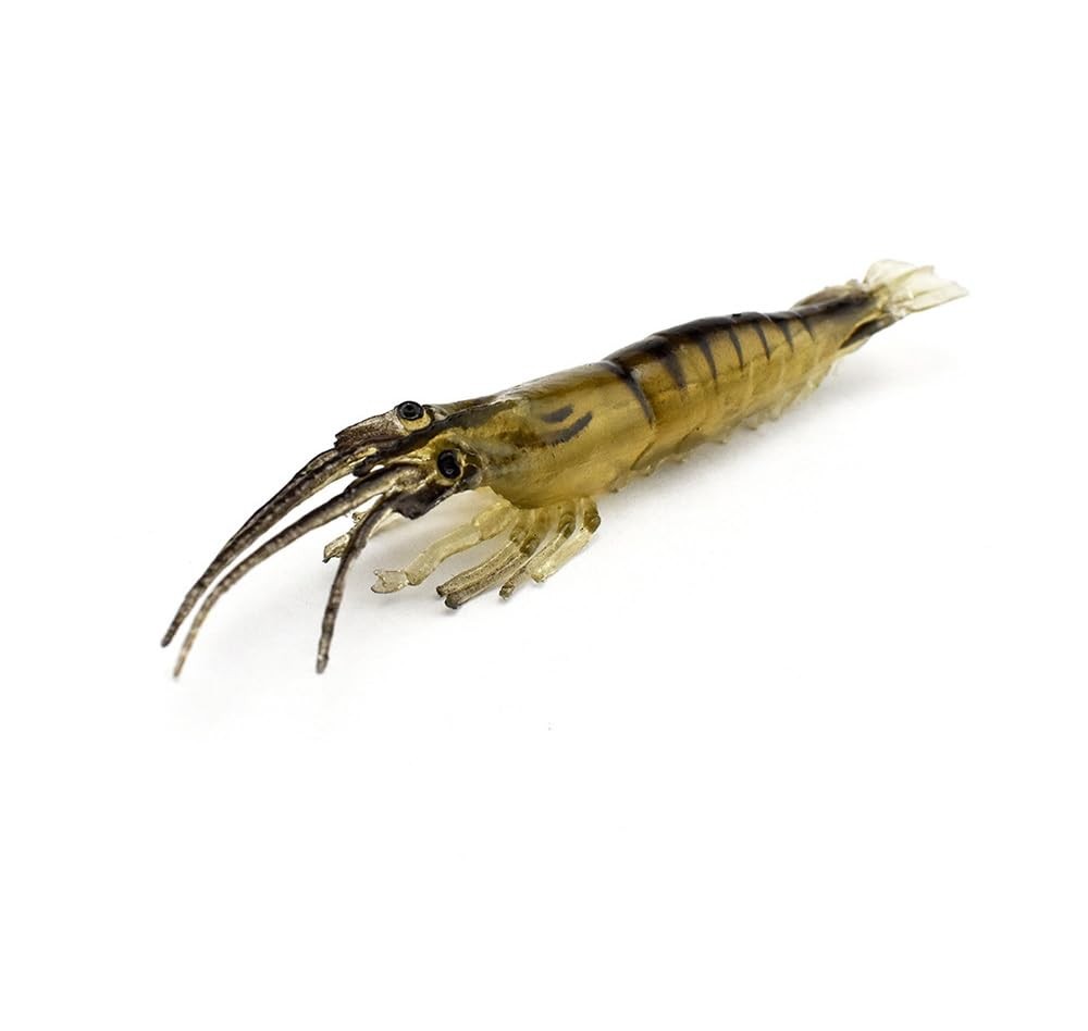 KTGCOZS Pack of 10 2.75″ Shrimp 7cm/4g 1/7oz, As the picture shown