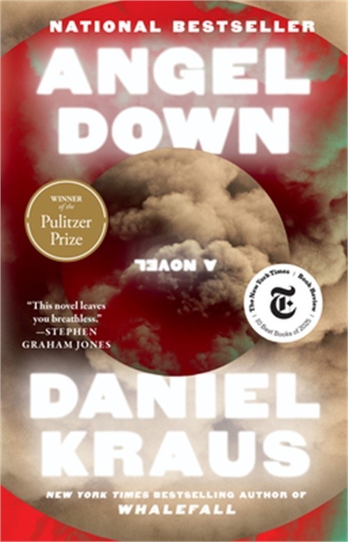 Angel Down (Paperback or Softback)