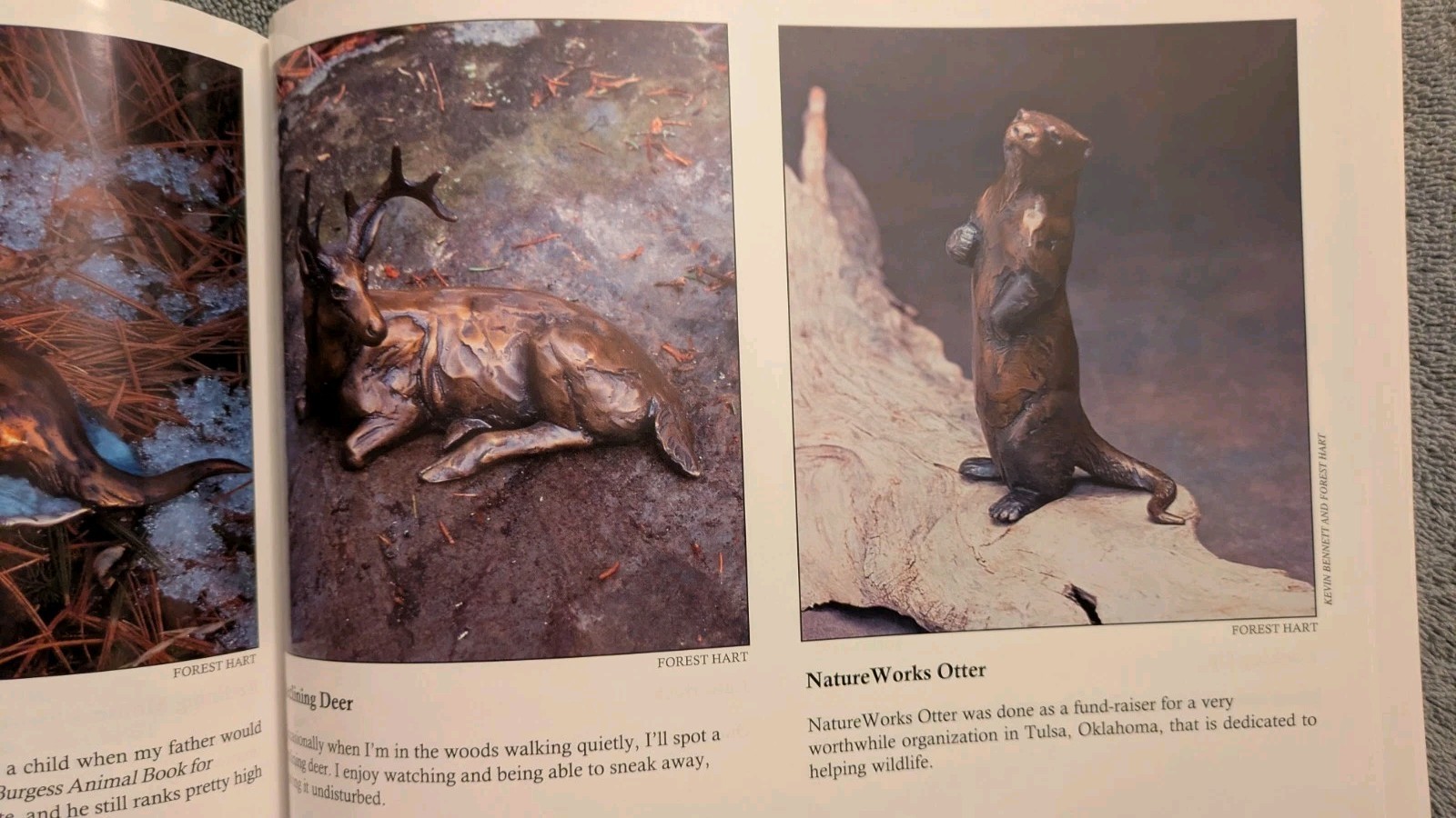 Forest Hart, WILDLIFE IN BRONZE, 204, PB, Art, Sculpture, Animals, 111 Pages